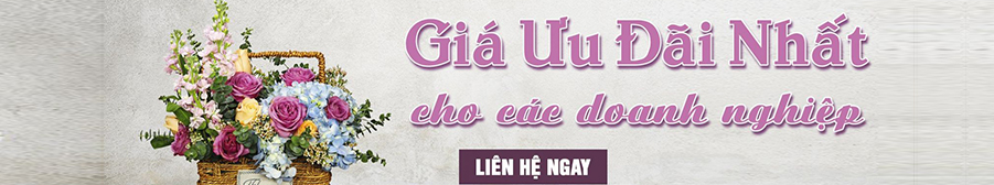 Thú nhún lò xo ngoài trời Hải Cẩu